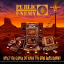 Public Enemyパブリック・エナミー 発売日：2020年10月06日 予約締切日：2020年10月02日 JAN：0602435150512 3515051 Def Jam CD ダンス・ソウル ラップ・ヒップホップ 輸入盤