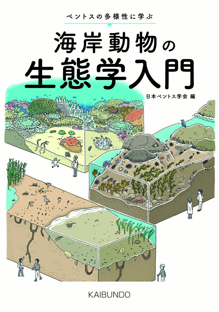 海岸動物の生態学入門 ベントスの多様性に学ぶ [ 日本ベントス学会 ]