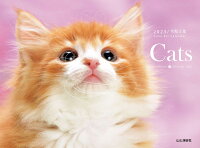 カレンダー2023 Cats (月めくり/壁掛け・リング)