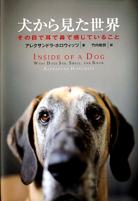 犬であるとはどういうことか？その内側に入り込むと見えてくる、思いがけない豊かな犬の感覚世界。