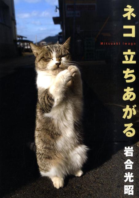 ネコ立ちあがる