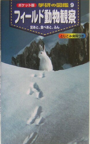 フィールド動物観察