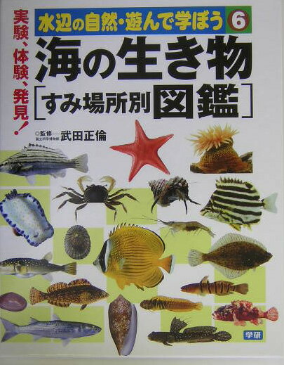 水辺の自然・遊んで学ぼう（6）
