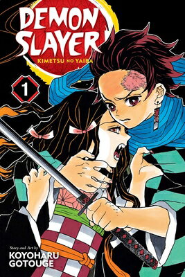 DEMON SLAYER:KIMETSU NO YAIBA #01(P)