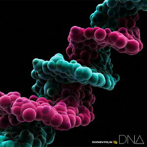 DNA [ MONKEY MAJIK ]