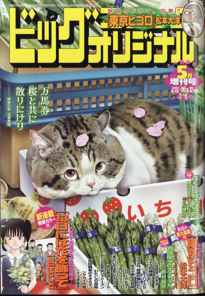 増刊ビッグコミックオリジナル ビッグオリジナル増刊 5/12 2023年 5/12号 [雑誌]