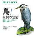 鳥！　驚異の知能　道具をつくり、心を読み、確率を理解する