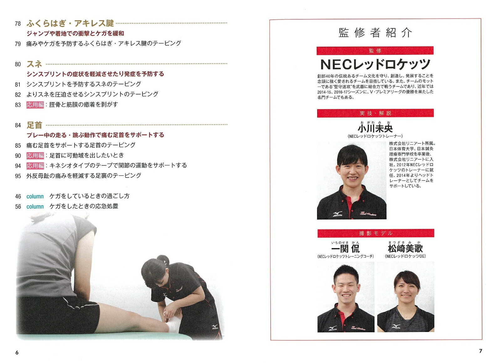 �Х졼�ܡ��� ����! �ơ��ԥ󥰤Υ��� ��Ū�� �����ޥ˥奢�� [ NEC��åɥ����å� ]