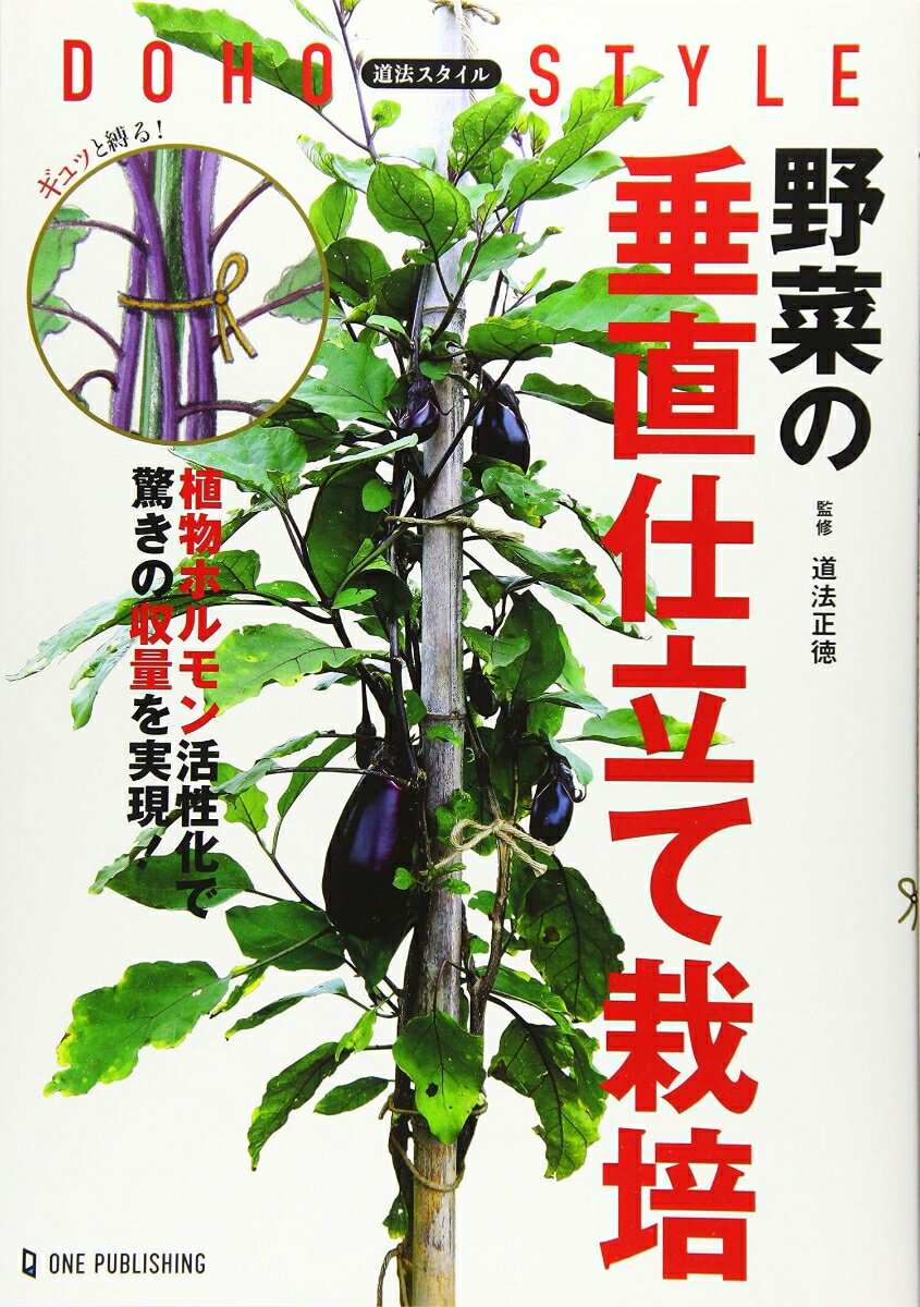 楽天楽天ブックス道法スタイル　野菜の垂直仕立て栽培 [ 道法正徳 ]