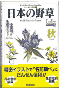 日本の野草（秋）