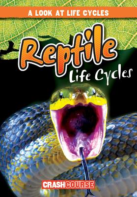 Reptile Life Cycles REPTILE LIFE CYCLES （Look at Life Cycles） 