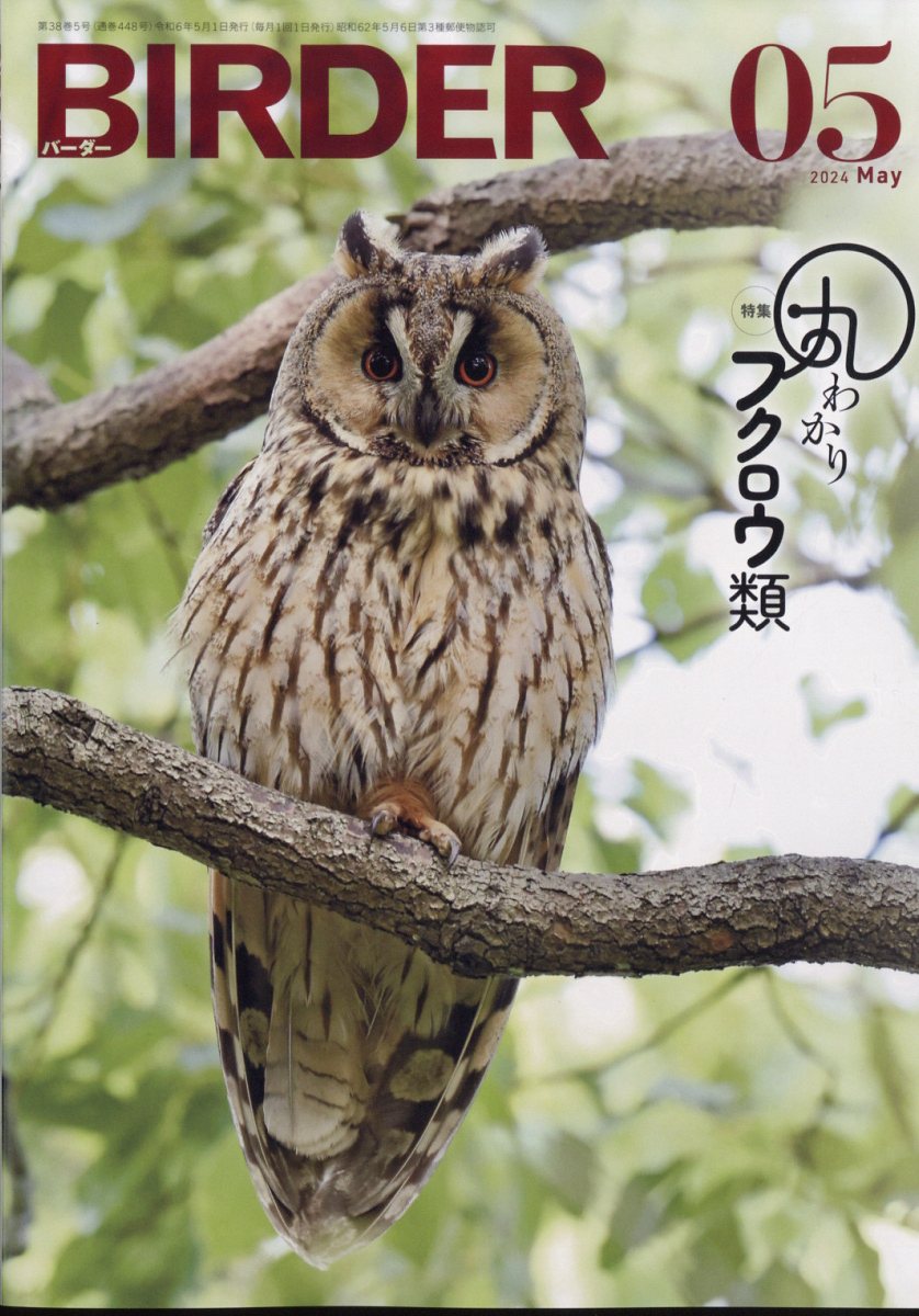 BIRDER (バーダー) 2024年 5月号 [雑誌]