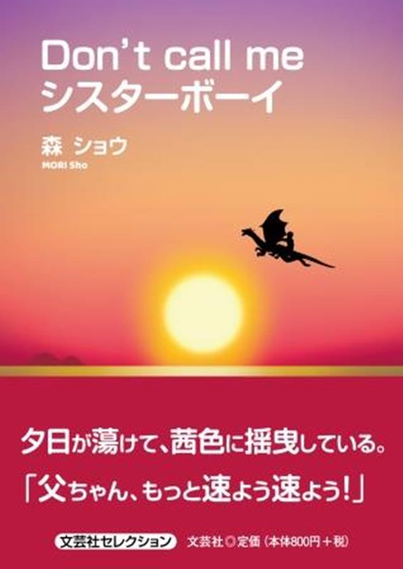 Don’t　call　meシスターボーイ （文芸社セレクション） [ 森ショウ ]