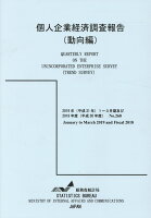 個人企業経済調査報告（動向編）（平成30年度）