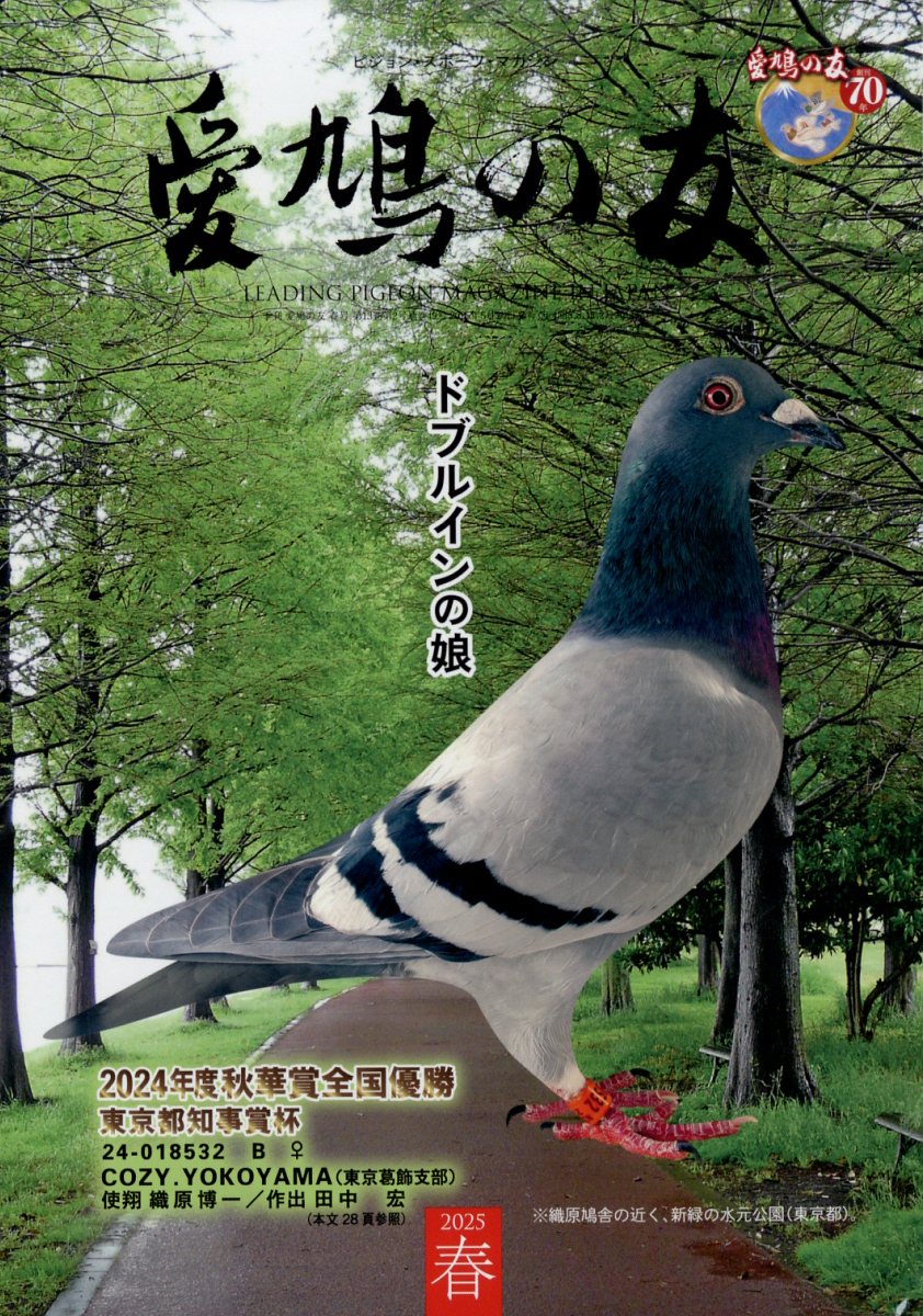 愛鳩の友 2025年 5月号 [雑誌]