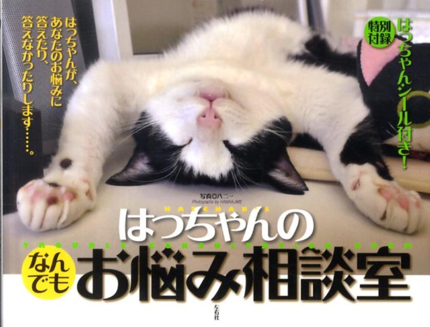 はっちゃんのなんでもお悩み相談室