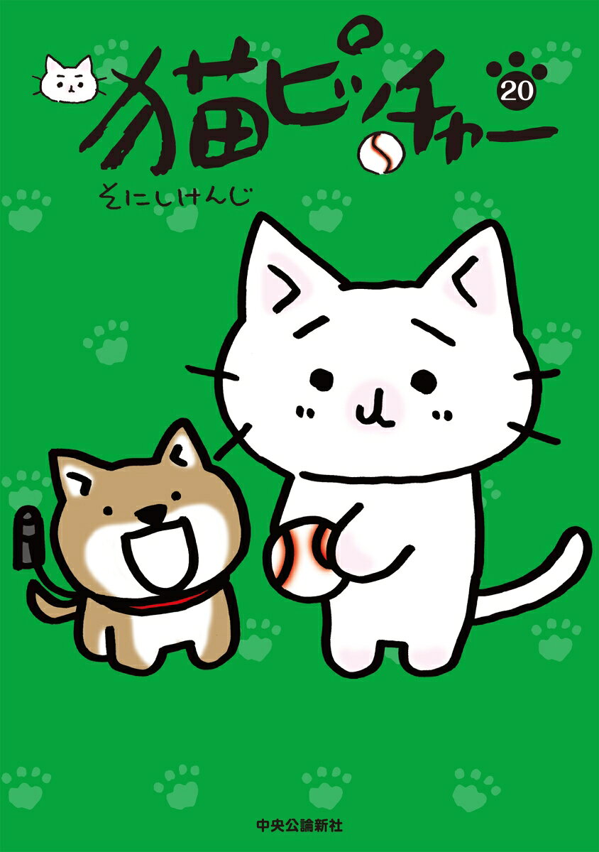 猫ピッチャー20