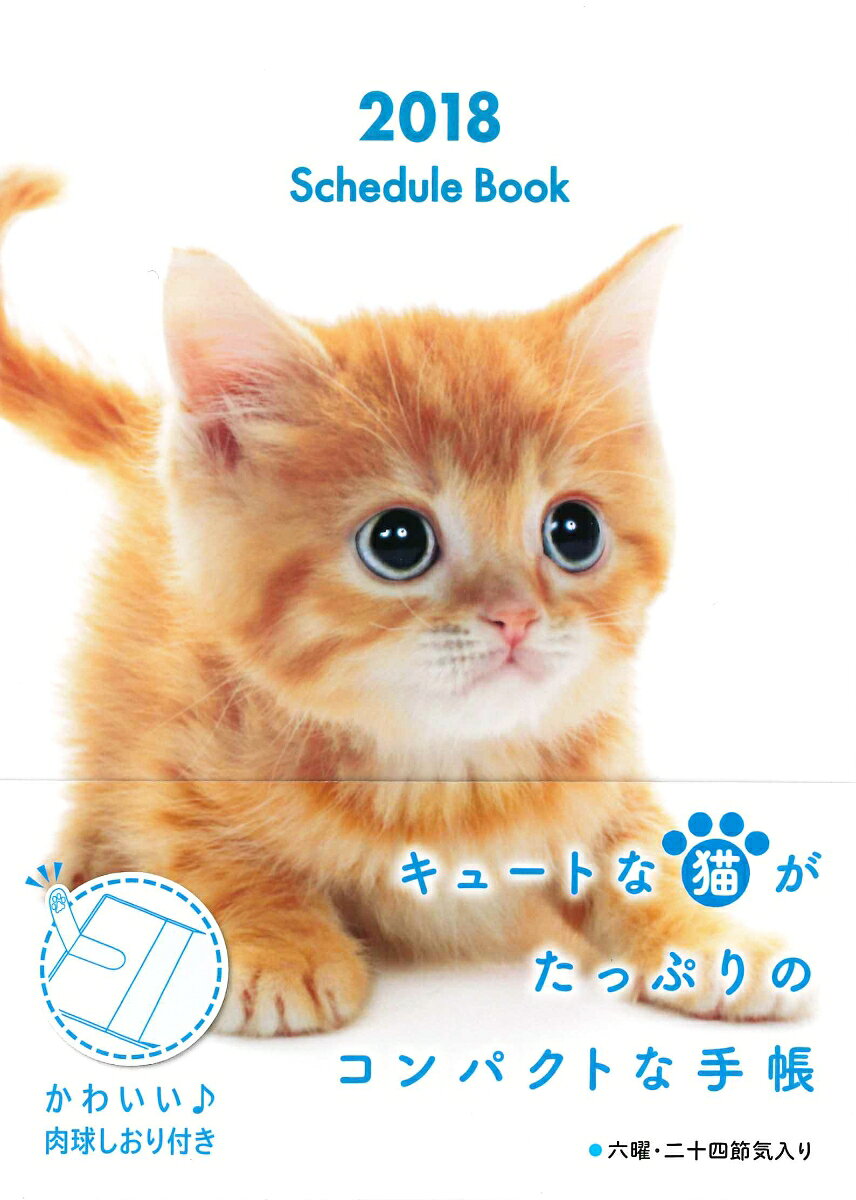 Schedule　Book　CAT（2018）