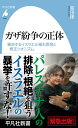 ガザ紛争の正体（1055 1055） 暴走するイスラエル極右思想と修正シオニズム （平凡社新書） 宮田 律