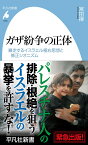 ガザ紛争の正体（1055;1055） 暴走するイスラエル極右思想と修正シオニズム （平凡社新書） [ 宮田 律 ]