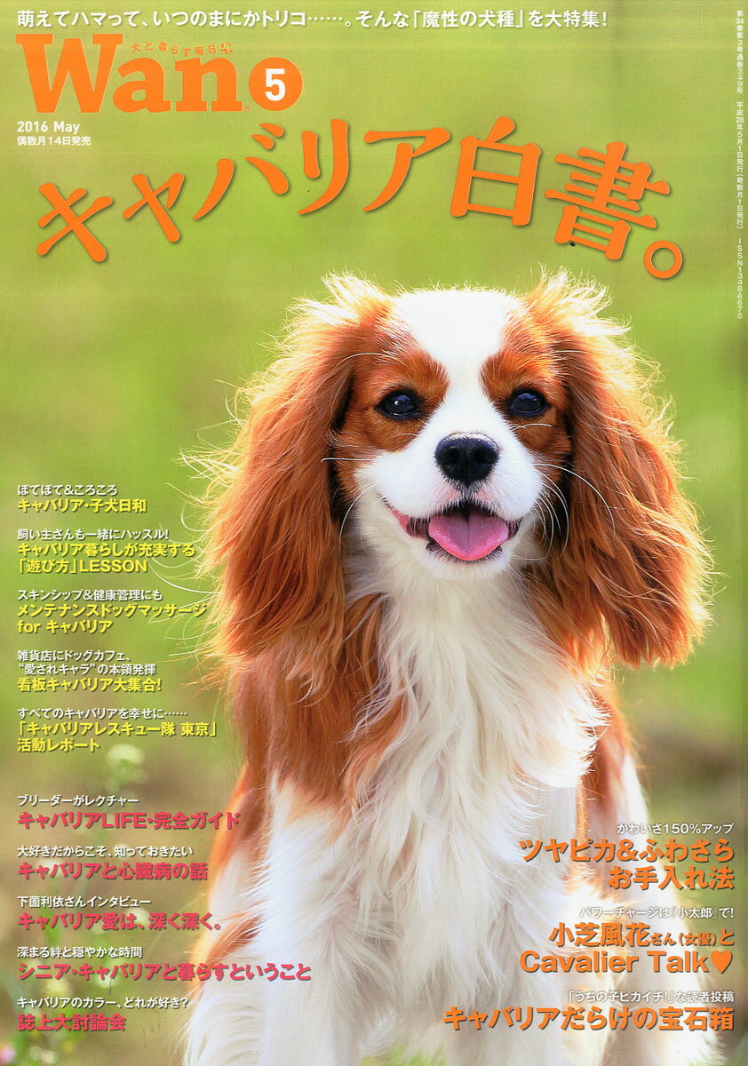 wan (ワン) 2016年 05月号 [雑誌]