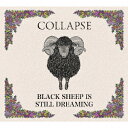 BLACK SHEEP IS STILL DREAMING COLLAPSE