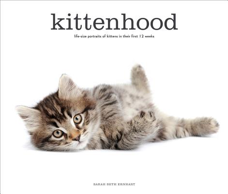 KITTENHOOD(H)