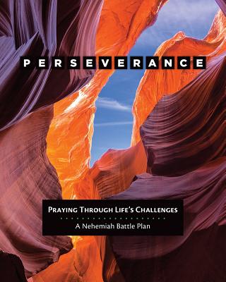 Perseverance: Praying through Life's Challenges PERSEVERANCE [ Donna Snow ]
