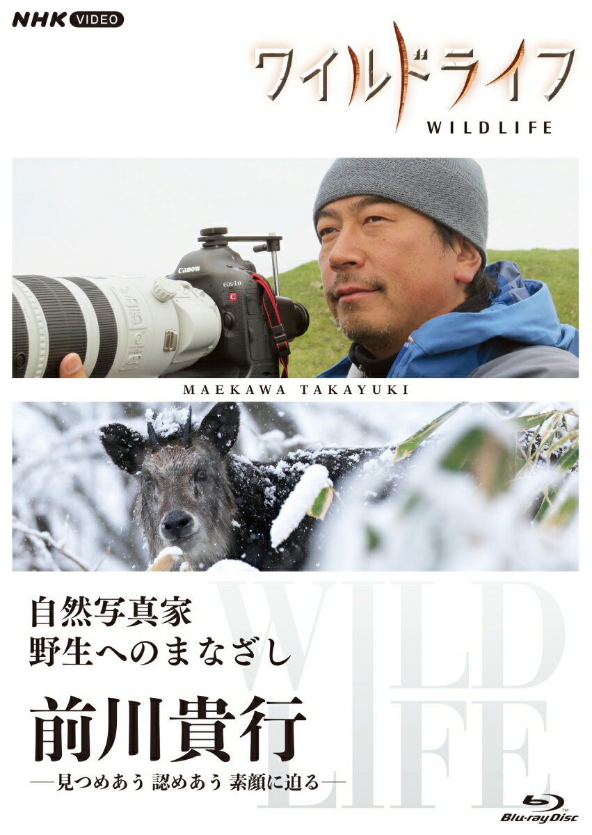 ワイルドライフ 自然写真家 野生へのまなざし 前川貴行【Blu-ray】 [ (ドキュメンタリー) ]