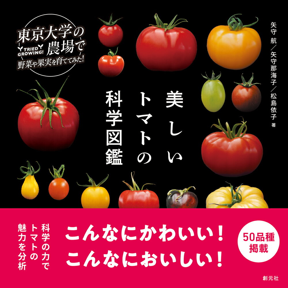 楽天楽天ブックス美しいトマトの科学図鑑 （東京大学の農場で野菜や果実を育ててみた） [ 矢守 航 ]