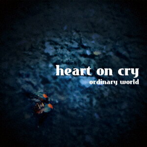 ordinary world