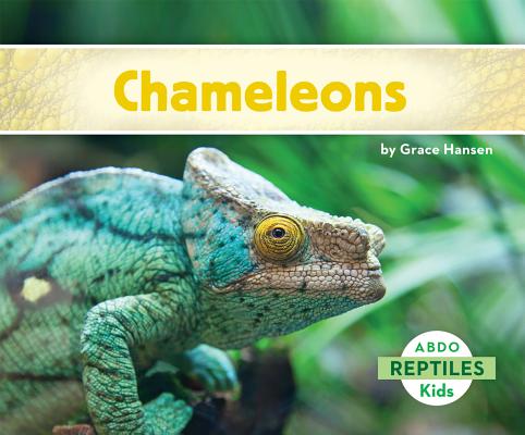 Chameleons CHAMELEONS （Reptiles） 