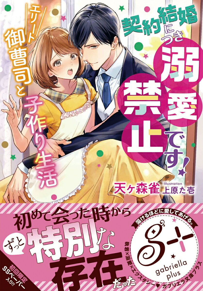 契約結婚につき溺愛禁止です！ エリート御曹司と子作り生活 （ガブリエラ文庫プラス ガブリエラ文庫プラス） 天ケ森雀