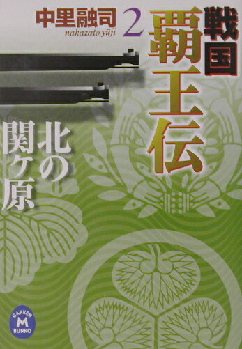 戦国覇王伝（2）