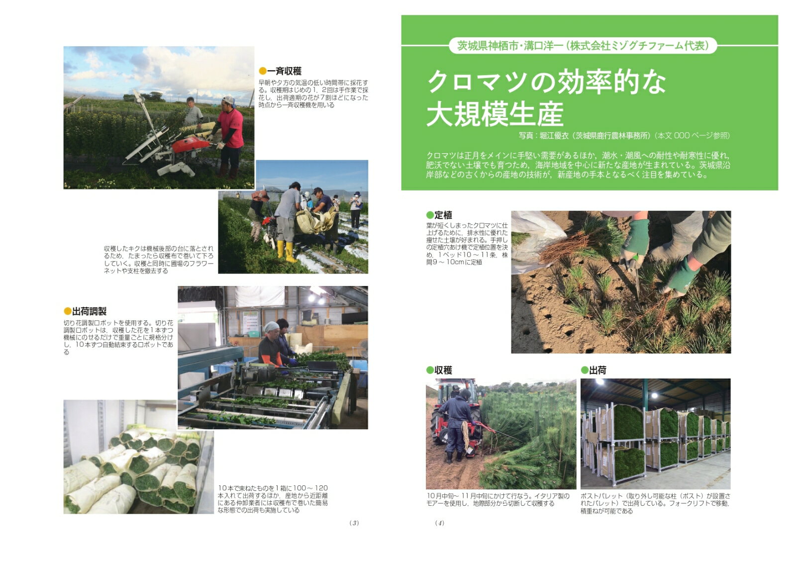 �ǿ����ȵ��ѡ�����vol.16��16�� ���ܤλޤ�κ��ݡ��ƽ���������ʪ�������Ƥ� [ ��ʸ�� ]