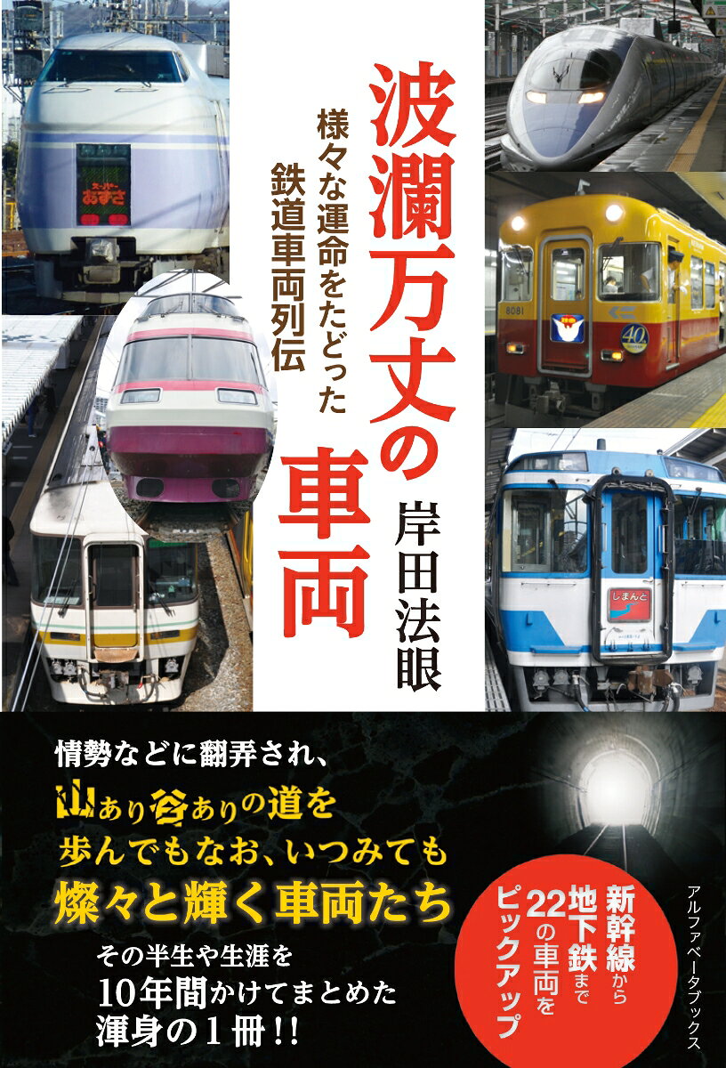 情勢などに翻弄され、山あり谷ありの道を歩んでもなお、いつみても燦々と輝く鉄道車両たち……。
それら鉄道車両の半生や生涯を10年間かけてまとめた渾身の1冊!!

新幹線から地下鉄まで22 の車両をピックアップ!!
本書に登場する車両の選定については、様々な事情で主力になれなかったもの、想像を超えるほど思わぬ方向へ進んだもの、先輩車両より早く引退したものなどを中心に取り上げ、その波瀾万丈の半生や生涯を綴ります。

《取り上げる車両（順不同）》
JR東日本207系／JR東日本253系／JR東日本400系／JR東日本E1系／JR東日本E351系／JR東日本E501系／JR西日本213系／JR西日本283系／JR西日本500系／JR四国キハ185系／JR北海道キハ285系／京阪電気鉄道初代3000系／小田急電鉄10000 形HiSE／小田急電鉄20000形RSE／東京急行電鉄1000系／東武鉄道30000系／名古屋鉄道、会津鉄道キハ8500系／大阪市交通局10系試作車／大阪市交通局2代目20系／東京メトロ06系、07系／東京メトロ01系