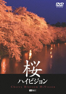 桜ハイビジョンーCherry Blossom Hi Vision