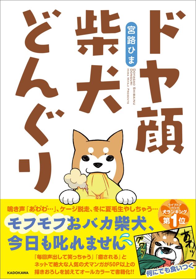 ドヤ顔柴犬どんぐり [ 宮路ひま ]