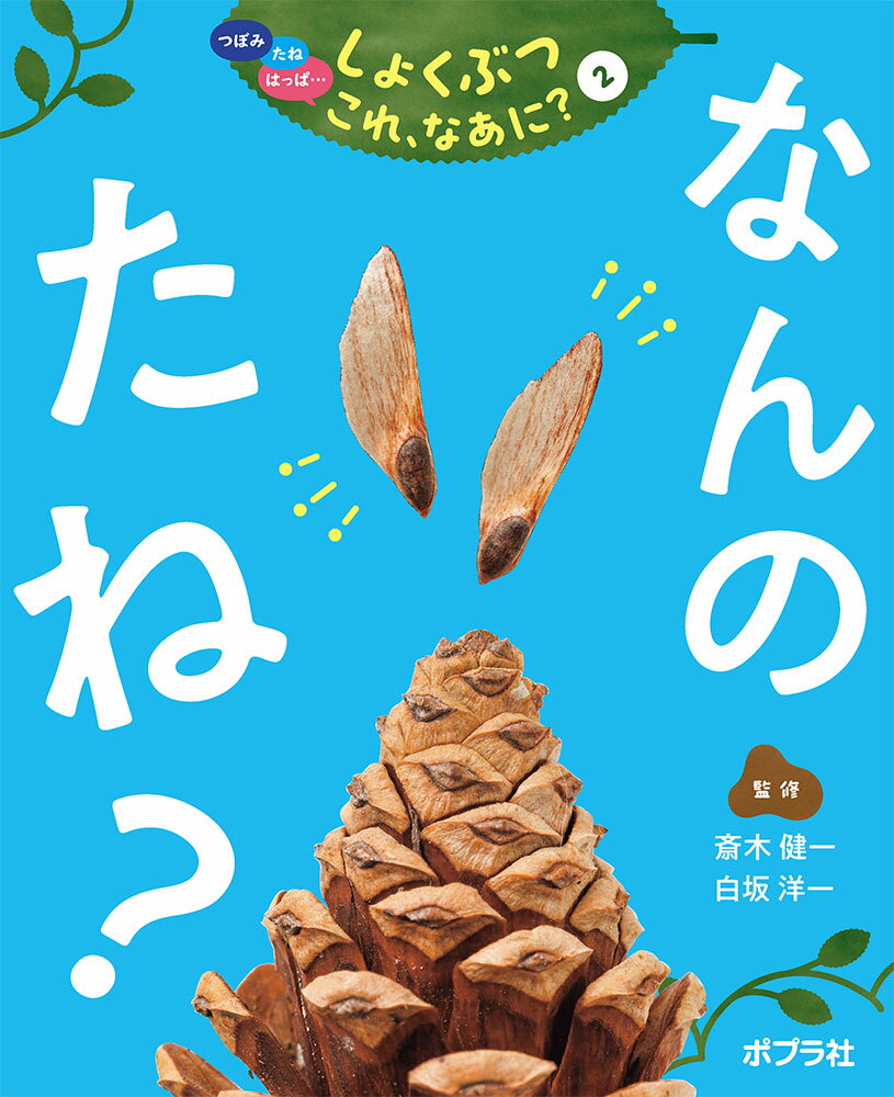 なんの　たね？ （つぼみ・たね・はっぱ・・・　しょくぶつ　これ、なあに？　2） [ 斎木　健一 ]