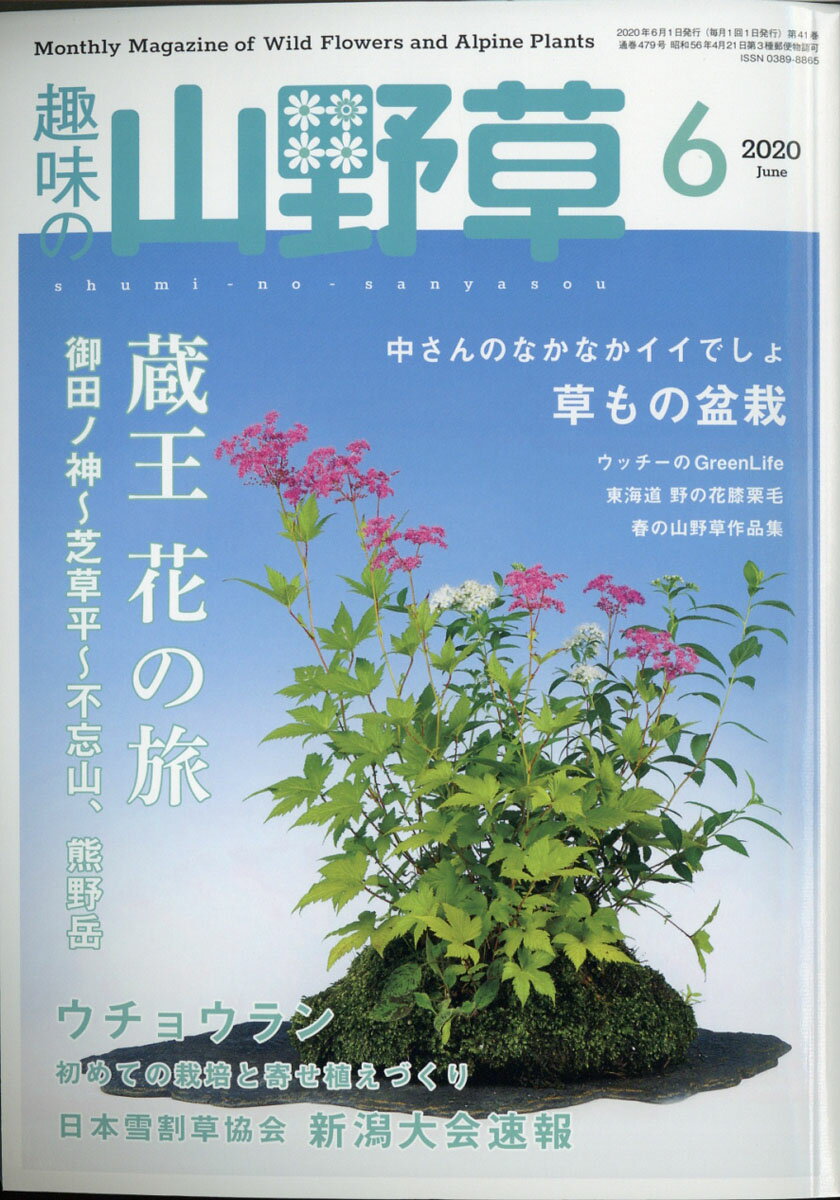 趣味の山野草 2020年 06月号 [雑誌]
