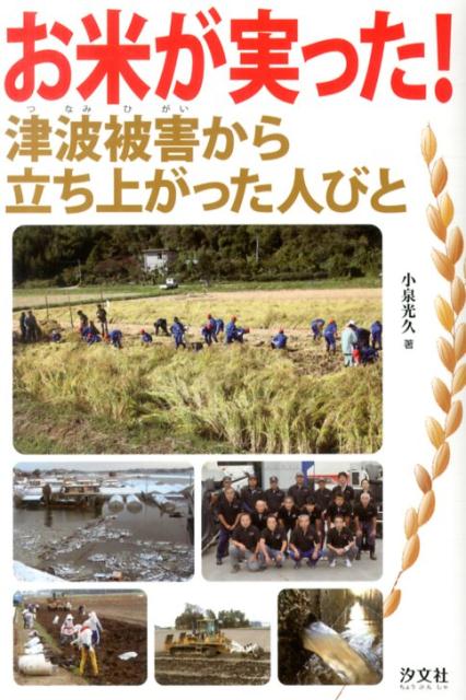 お米が実った！