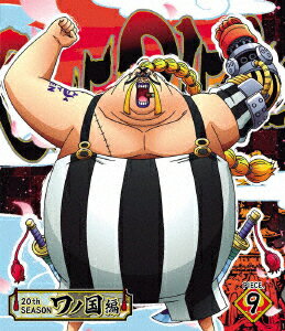 ONEPIECEワンピース20THシーズンワノ国編PIECE.9 Blu-ray 田中真弓