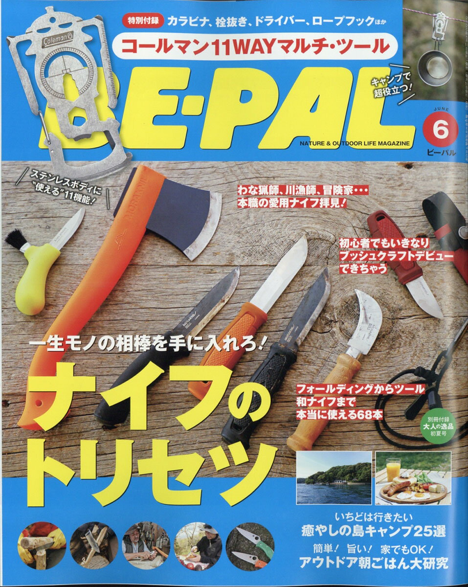 BE-PAL (ビーパル) 2020年 06月号 [雑誌]