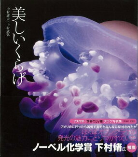 【バーゲン本】美しいくらげの表紙