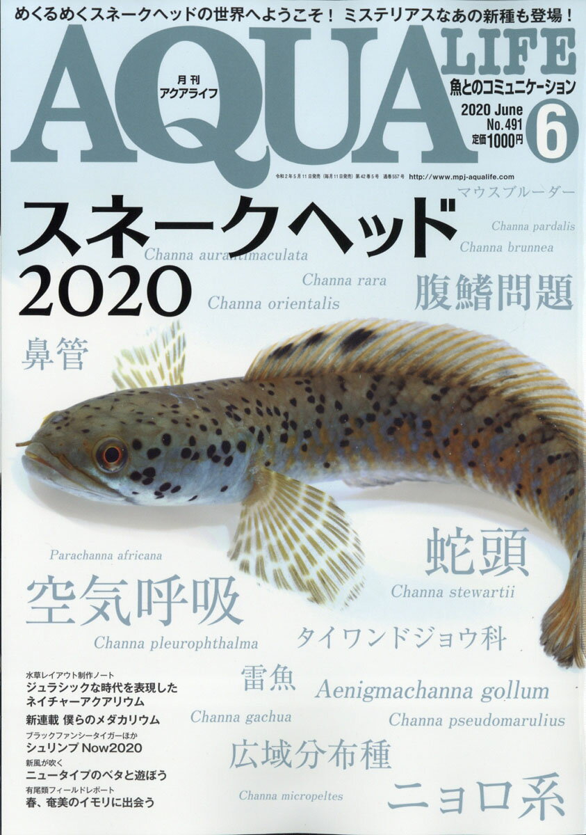 月刊 AQUA LIFE (アクアライフ) 2020年 06月号 [雑誌]