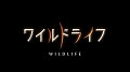 日本を代表する4名の写真家に密着
それぞれ独自の視点で撮った映像や言葉を記録した自然写真家シリーズ

＜収録内容＞

「中村征夫 東京湾と沖縄 海はいい!みんな生きている!」
50年前、誰も見向きもしなかった東京湾のヘドロの海に潜り始めた写真家・中村征夫さん。
同じ頃から日本復帰前の沖縄のサンゴの海にも通い、76歳になった今も2つの海を撮り続けている。
様相が異なる2つの海もそこで懸命に生きる命の凄さという視点で見つめると心をゆさぶる光景や新鮮な美しさ浮かび上がる。
妖艶な夜のサンゴ礁や夜の東京湾の海中映像も感動的だ。
挫折を繰り返し、写真家となった人生の回想と共に描きだす。

「今森光彦 里山 みんな命の輪に生かされている」
琵琶湖の畔で生まれ育った今森光彦さんは自然写真家として世界の生き物を撮る中で、バリ島の棚田と出会い日本の里山の価値に気づく。
以来、ふるさとの棚田や水辺、雑木林など、人と自然が共生する空間「里山」を世界に発表。
今も全国を巡り多彩な里山を200か所以上撮影している。
その中から京都の竹林、兵庫但馬の草原、長野の森、佐賀唐津の棚田などを訪ね、様々な生きものと人の暮らしの関係を美しい映像と言葉で紹介する。

「前川貴行 見つめあう 認めあう 素顔に迫る」
前川貴行さんは霊長類やクマ、ヒョウ、ハクトウワシなど様々な野生動物を、息づかいを感じるほどの間近で撮った作品で知られる。
正面から向き合う動物たちの視線から、その心のうちまで感じるような作品が特徴だ。
今回は手法は変えずに動画でツキノワグマ、ニホンカモシカ、イノシシの撮影に挑戦。
じっくり時間をかけて相手との信頼関係を作り、距離を詰めていく独自の撮影の様子と共に、生きものたちの思わぬ素顔を描き出す。

「小原玲 命を守る かわいいは最強だ」
小原さんは報道写真の世界で活躍した後、アザラシの赤ちゃんとの出会いをきっかけに動物写真家になった。
若者や女性に人気のシマエナガもブームに火をつけたのは小原さんの写真だ。
その小原さんが亡くなる直前まで撮ったのが愛くるしい表情のエゾモモンガ。
なぜ、かわいいを追い続けたのか。そのまなざしの奥には命を守りたいという思いがあった。
報道の魂を纏った動物写真家にとって「かわいい」は「守りたい」だったのだ。

＜キャスト＞
【語り】：山内泉、廣瀬智美、糸井羊司、保里小百合

&copy; 2022 NHK

※収録内容は変更となる場合がございます。