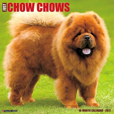 Just Chow Chows