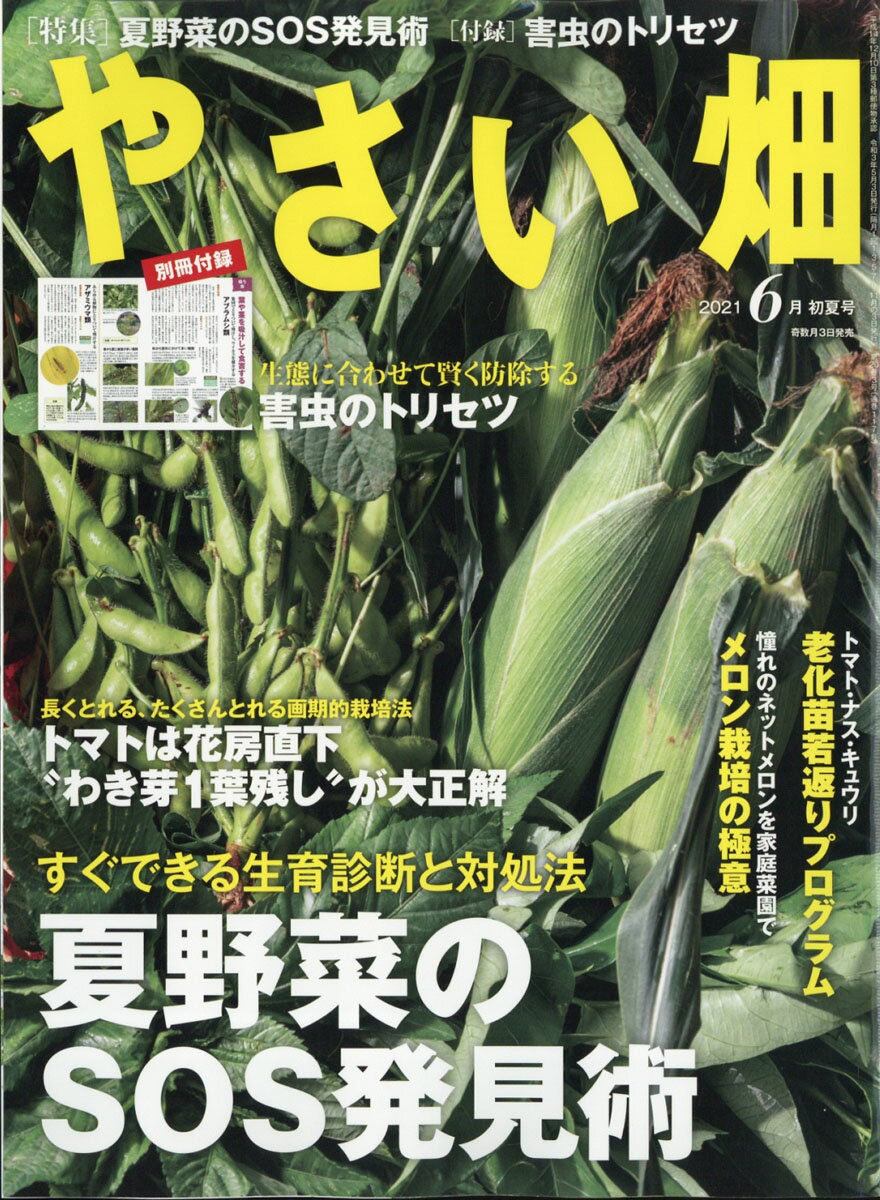 やさい畑 2021年 06月号 [雑誌]