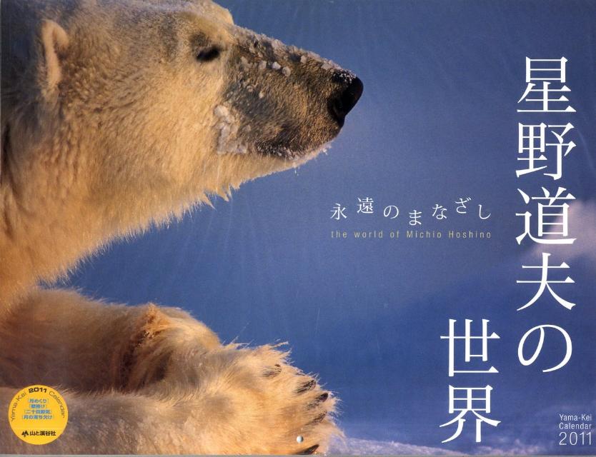 星野道夫の世界永遠のまなざしカレンダー（2011）