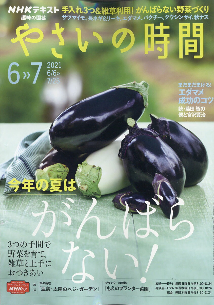NHK 趣味の園芸 やさいの時間 2021年 06月号 [雑誌]